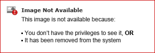 How can I access the Flight Disruption Assistance portal?